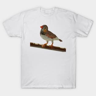 Birdy T-Shirt